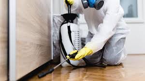 Best Residential Pest Control  in Beaumont, TX